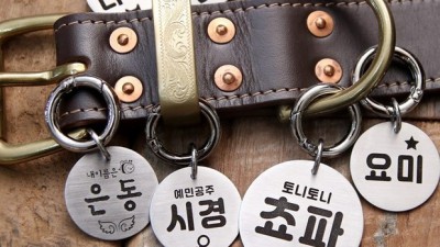 🐶 냥냥이 멍멍이 맞춤 인식표 제작 후기! 할인 꿀팁 대방출 🐾